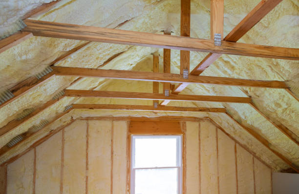 Best Insulation Maintenance and Repair in Richmond, IL